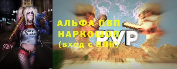 стаф Осташков
