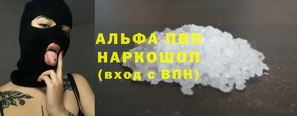 стаф Осташков