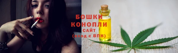 стаф Осташков