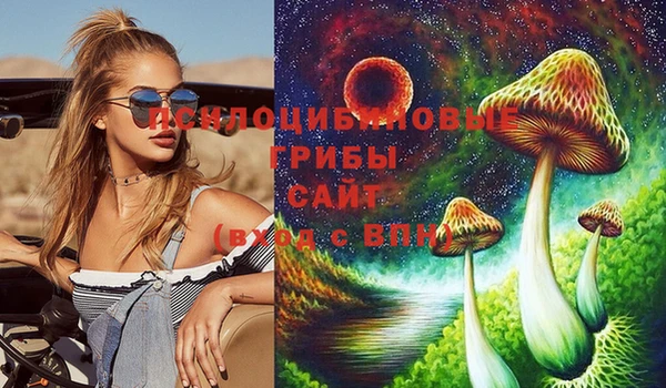 ГАЛЛЮЦИНОГЕННЫЕ ГРИБЫ Остров