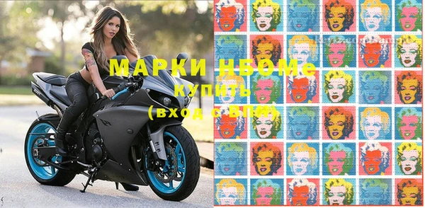 стаф Осташков