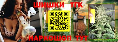 СК Дубна