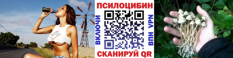 Псилоцибиновые грибы Psilocybe Кулебаки