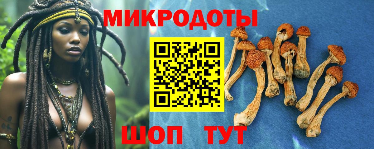 Псилоцибиновые грибы Magic Shrooms Кулебаки