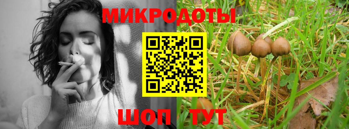 Псилоцибиновые грибы MAGIC MUSHROOMS Кулебаки