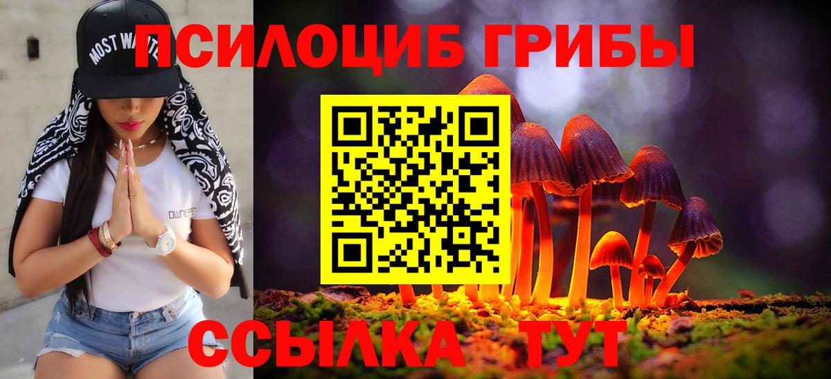 Галлюциногенные грибы мицелий  Вход с VPN  Кулебаки 